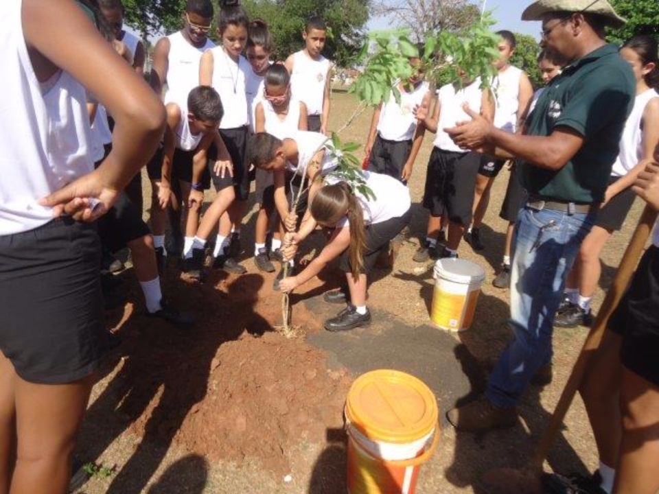 Mais de 1.500 estudantes integram ações de educação ambiental da Fibria em comemoração ao mês da Árvore