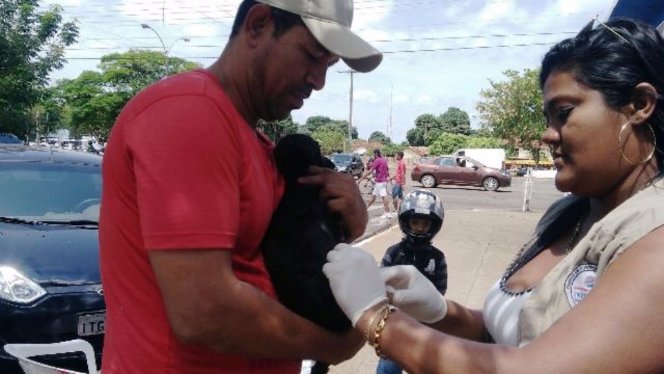 Saúde imuniza 892 cães e 156 gatos na segunda etapa de vacinação