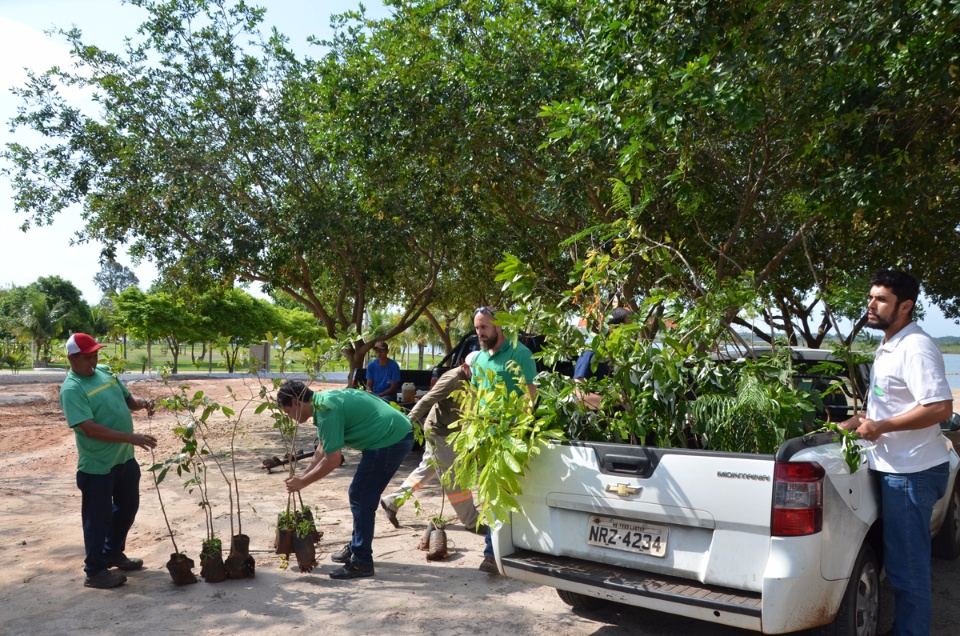 Balneário Municipal recebe plantio de 55 novas mudas de árvores