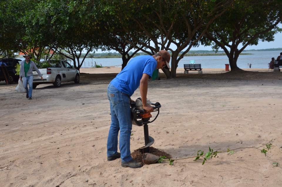 Balneário Municipal recebe plantio de 55 novas mudas de árvores