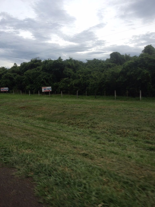 Placa entre Três Lagoas e Castilho surpreende por erro ortográfico Placa entre Três Lagoas e Castilho surpreende por erro ortográfico