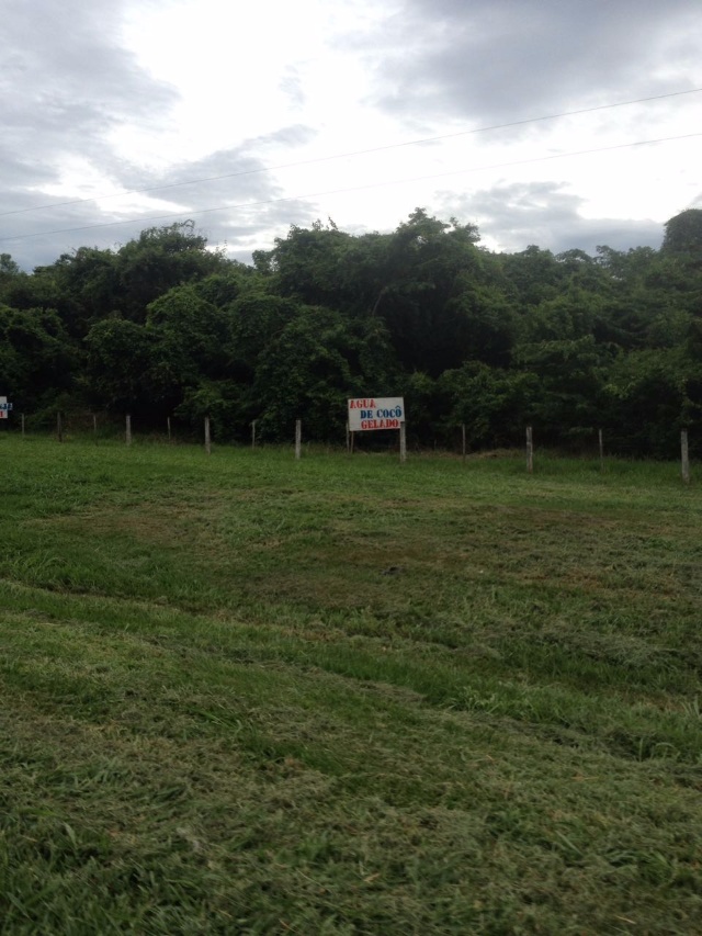Placa entre Três Lagoas e Castilho surpreende por erro ortográfico Placa entre Três Lagoas e Castilho surpreende por erro ortográfico
