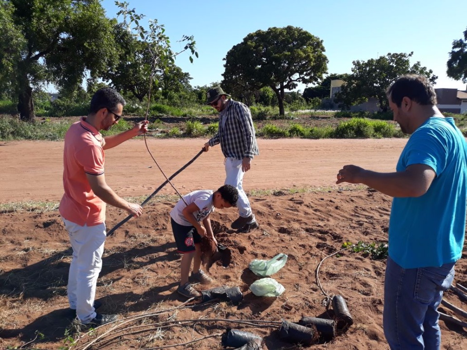 Jardim Oiti de Três Lagoas é beneficiado pelo projeto “Áreas Mais Verdes”