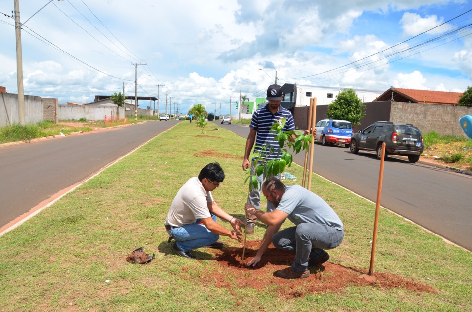 SEMEA realiza plantio de árvores no Bairro Nova Três Lagoas