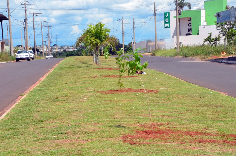 SEMEA realiza plantio de árvores no Bairro Nova Três Lagoas
