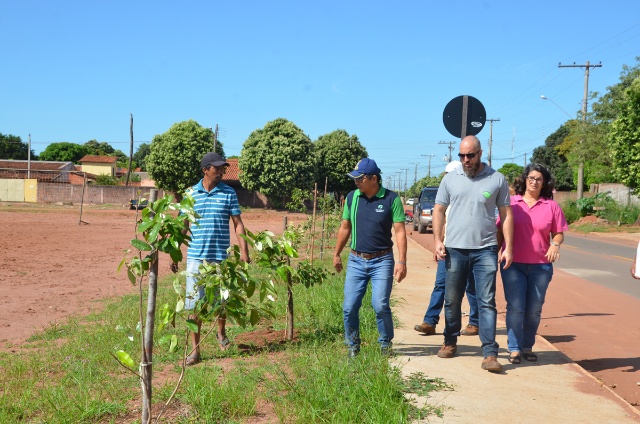 Projeto Áreas Mais Verdes realiza plantio de árvores no Santa Rita