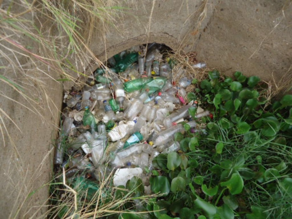 Limpeza na Segunda Lagoa resulta na retirada de 50 sacos de lixo Limpeza na Segunda Lagoa resulta na retirada de 50 sacos de lixo