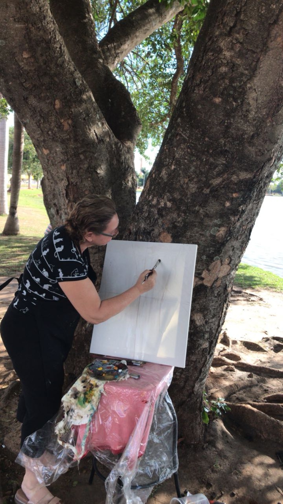 Artistas e artesãos de Três Lagoas buscam inspiração às tardes de domingo na Lagoa Maior