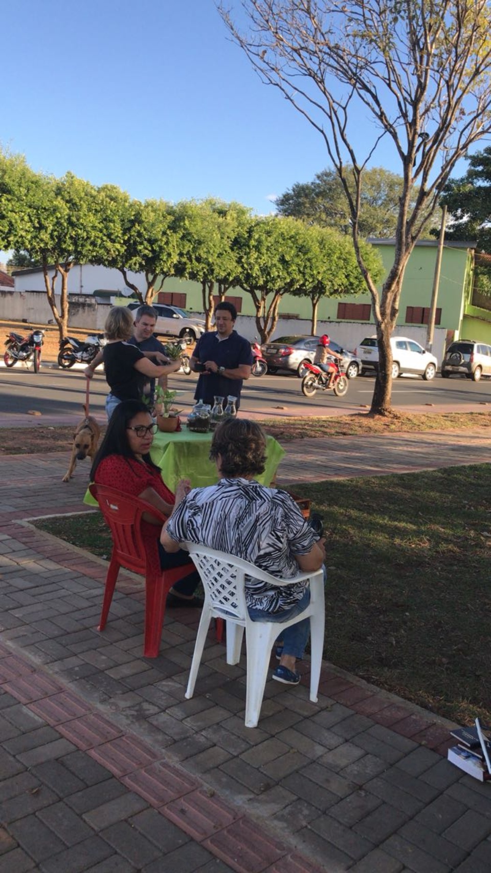 Artistas e artesãos de Três Lagoas buscam inspiração às tardes de domingo na Lagoa Maior