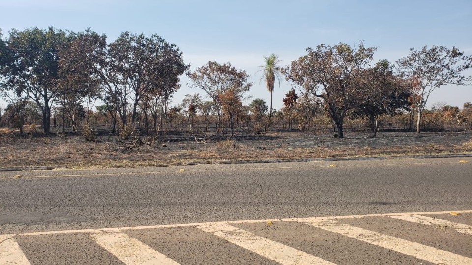 Após incêndio em quase 500 metros de área particular, Aeroporto Municipal recebe ações preventivas Após incêndio em quase 500 metros de área particular, Aeroporto Municipal recebe ações preventivas