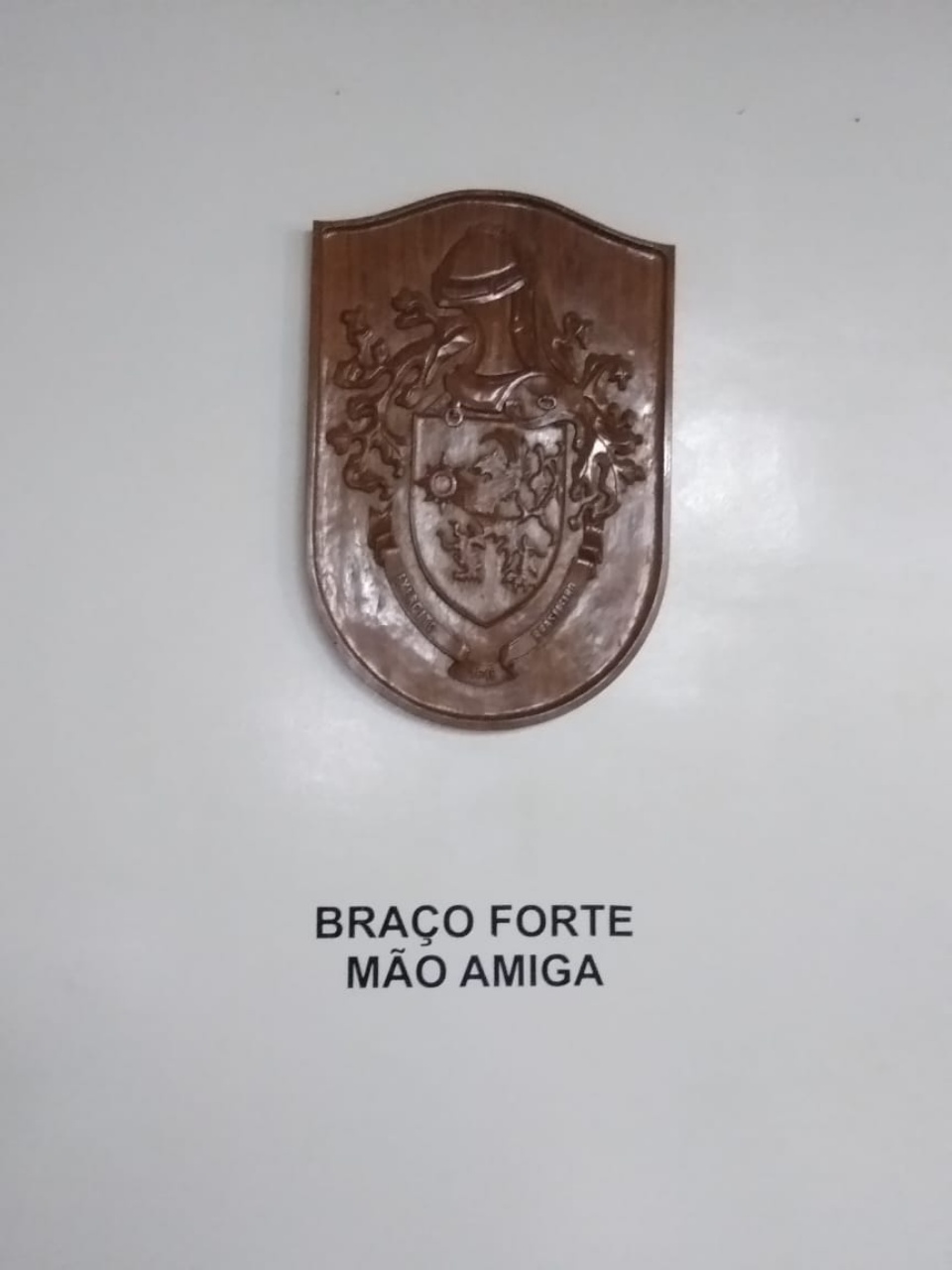 Alunos da escola Afonso Pena visitam Artilharia Antiaérea de Três Lagoas Alunos da escola Afonso Pena visitam Artilharia Antiaérea de Três Lagoas