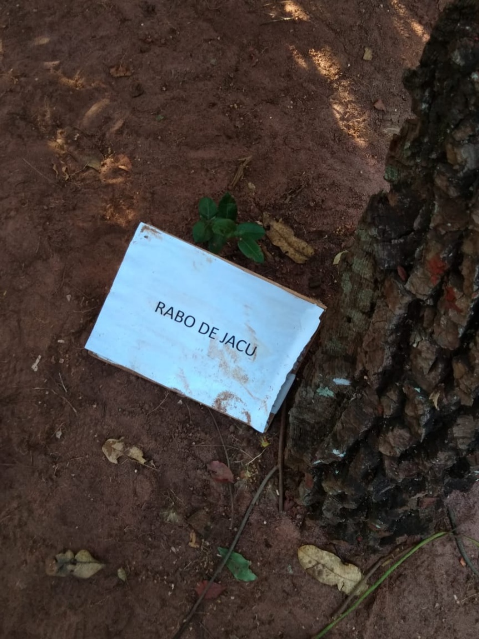Alunos da escola Afonso Pena visitam Artilharia Antiaérea de Três Lagoas Alunos da escola Afonso Pena visitam Artilharia Antiaérea de Três Lagoas