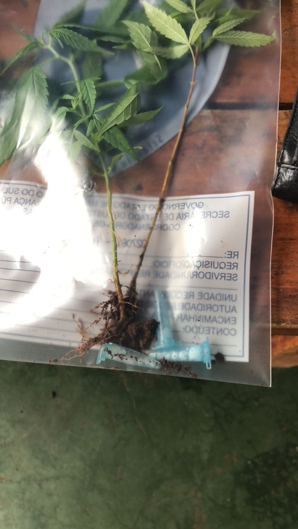 Em operação SIG recupera produtos roubados, celulares e drogas em Três Lagoas Em operação SIG recupera produtos roubados, celulares e drogas em Três Lagoas