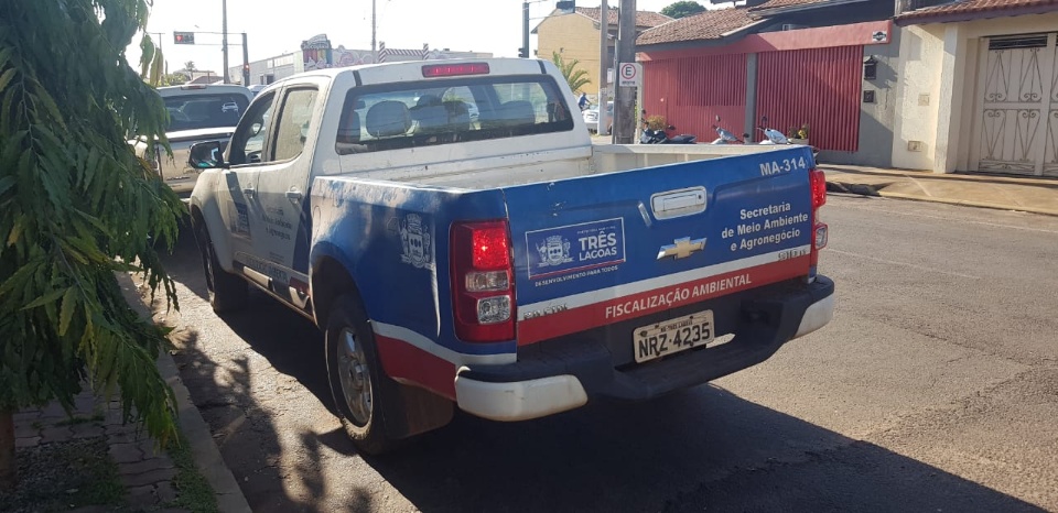 Prefeitura resgata capivara na Avenida Filinto Muller