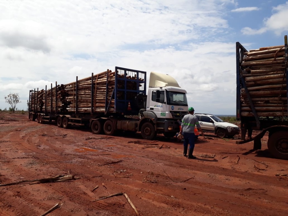 Segurança é a palavra-chave do transporte de madeira na região