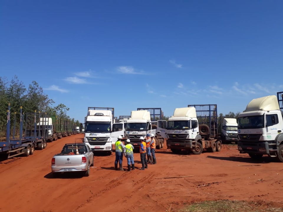Segurança é a palavra-chave do transporte de madeira na região