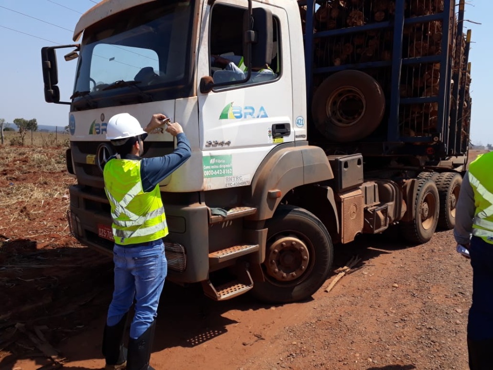 Segurança é a palavra-chave do transporte de madeira na região