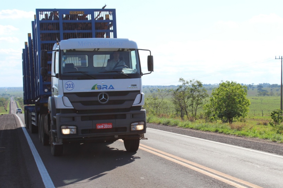 Segurança é a palavra-chave do transporte de madeira na região