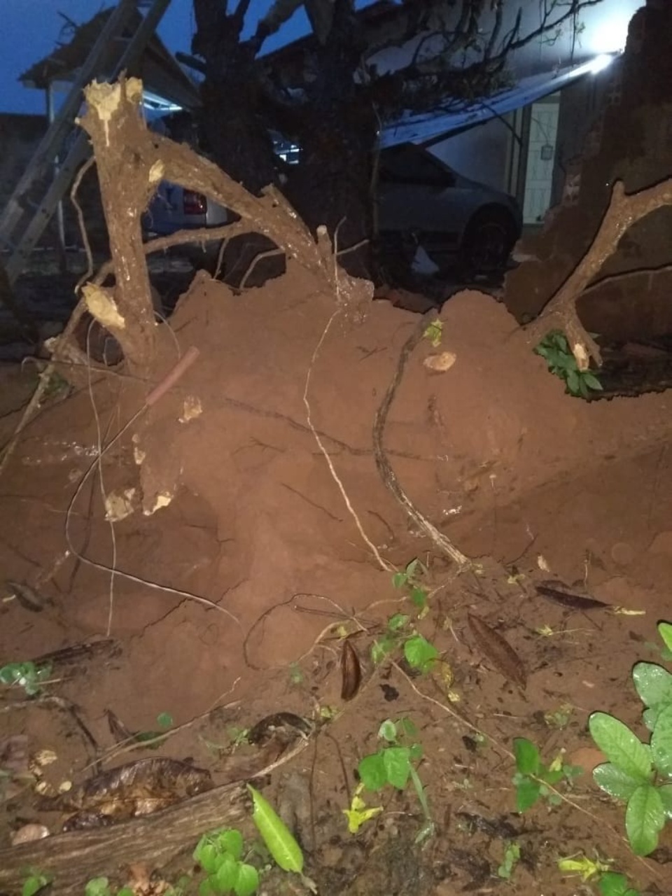 Vendaval arranca árvore e destrói muro e carro na Vila Piloto Vendaval arranca árvore e destrói muro e carro na Vila Piloto