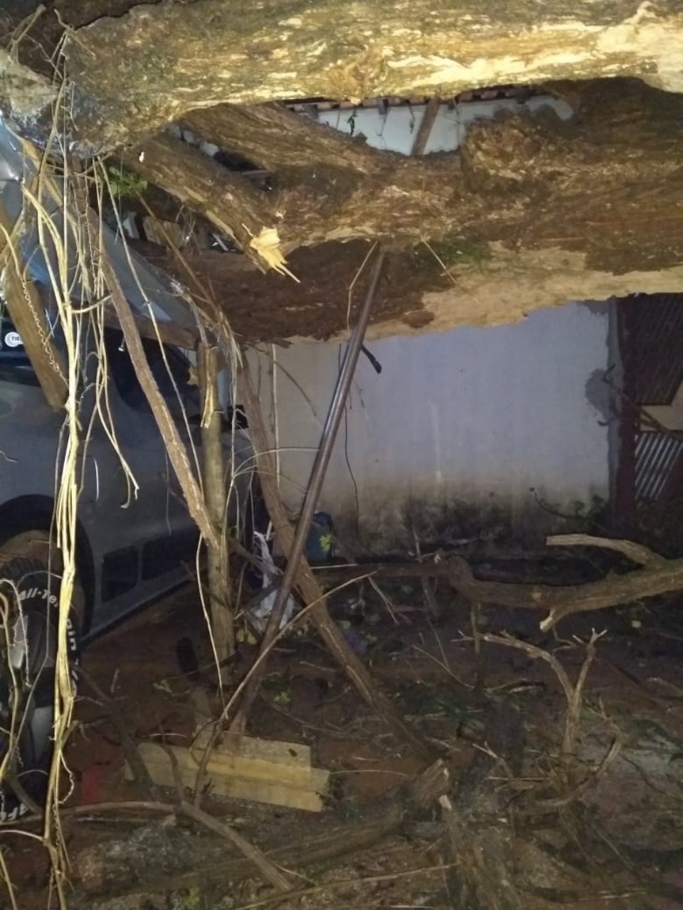 Vendaval arranca árvore e destrói muro e carro na Vila Piloto Vendaval arranca árvore e destrói muro e carro na Vila Piloto