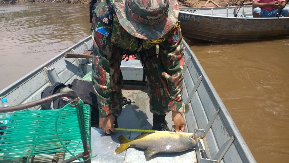 Piracema se inicia com fiscalização nos rios da Bacia do Paraná Piracema se inicia com fiscalização nos rios da Bacia do Paraná