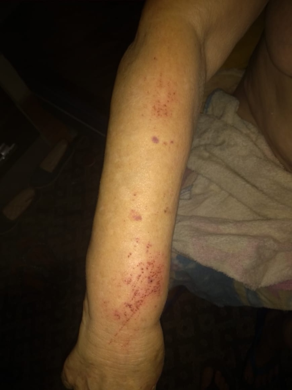 Idosa de 72 anos e o filho são agredidos por suposto autor que divulgou video de sexo em Três Lagoas Idosa de 72 anos e o filho são agredidos por suposto autor que divulgou video de sexo em Três Lagoas