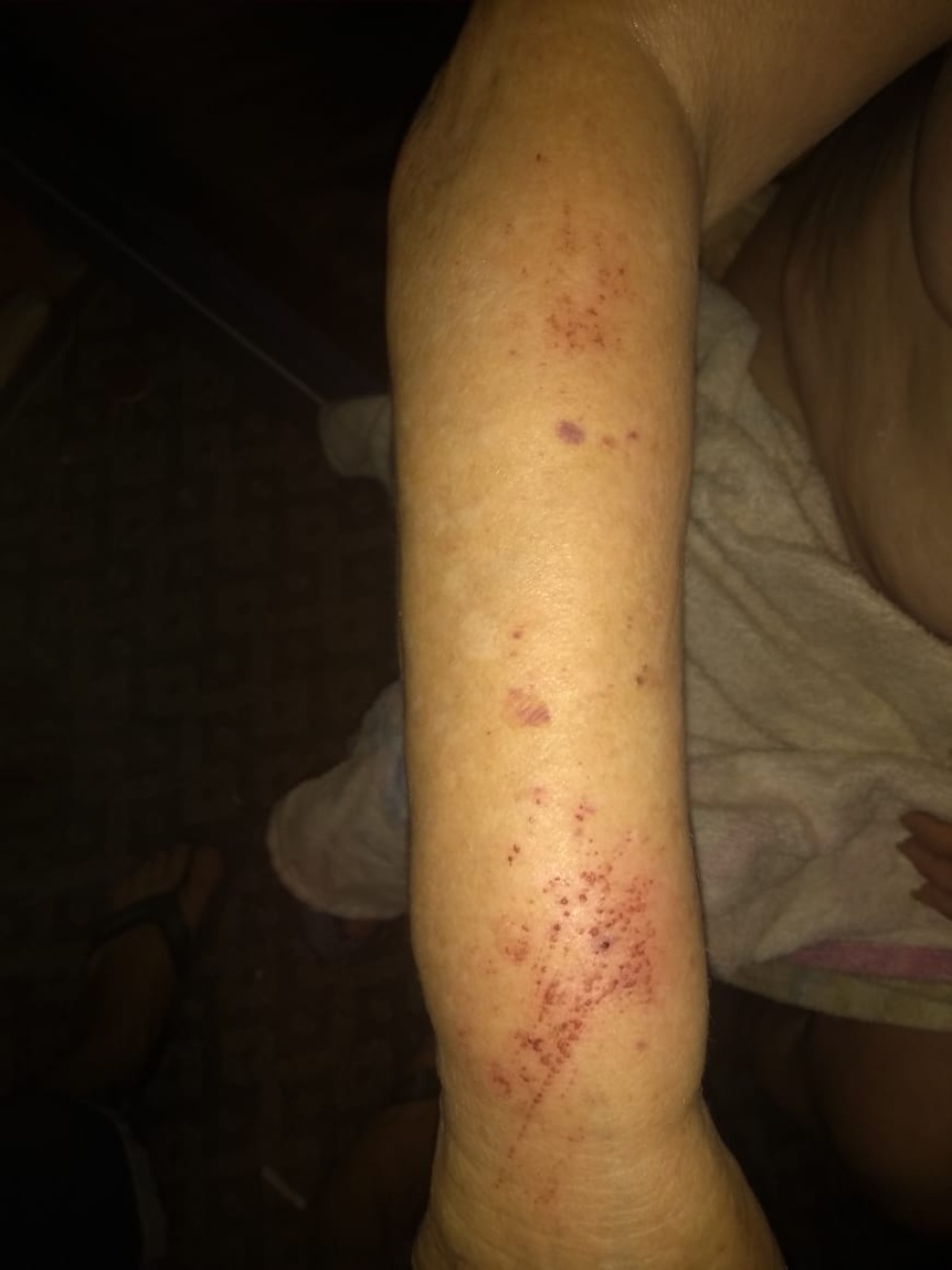 Idosa de 72 anos e o filho são agredidos por suposto autor que divulgou video de sexo em Três Lagoas Idosa de 72 anos e o filho são agredidos por suposto autor que divulgou video de sexo em Três Lagoas