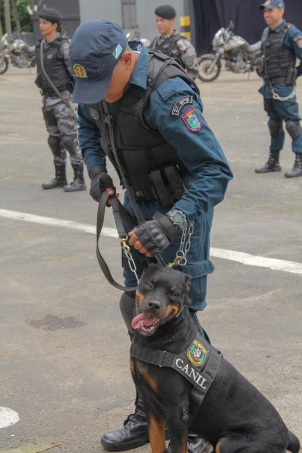 5° Curso de Operações com Cães é realizado no Batalhão de Choque da PM da Bahia com efetivo de Três Lagoas