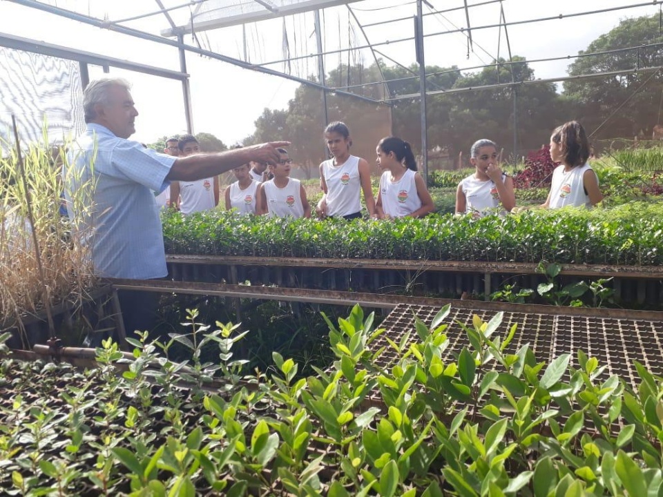 Patrulha Mirim Rodoviária encerra projeto ambiental com visita ao Viveiro Municipal