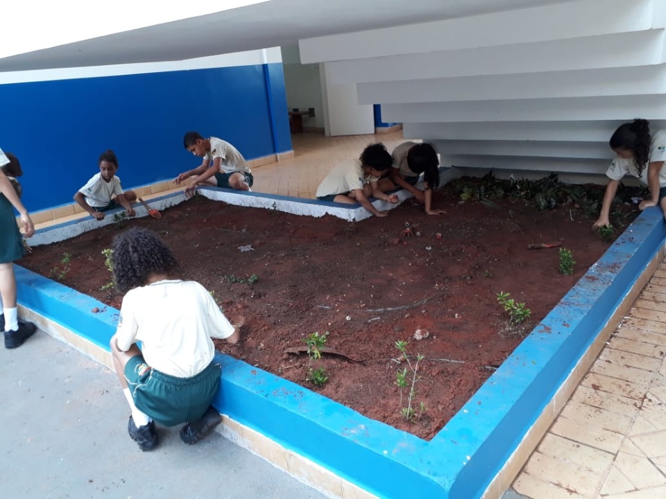 Patrulha Mirim Rodoviária encerra projeto ambiental com visita ao Viveiro Municipal