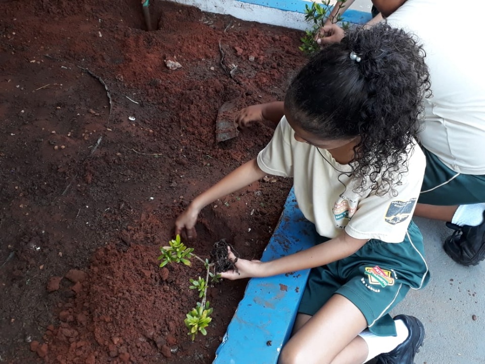 Patrulha Mirim Rodoviária encerra projeto ambiental com visita ao Viveiro Municipal