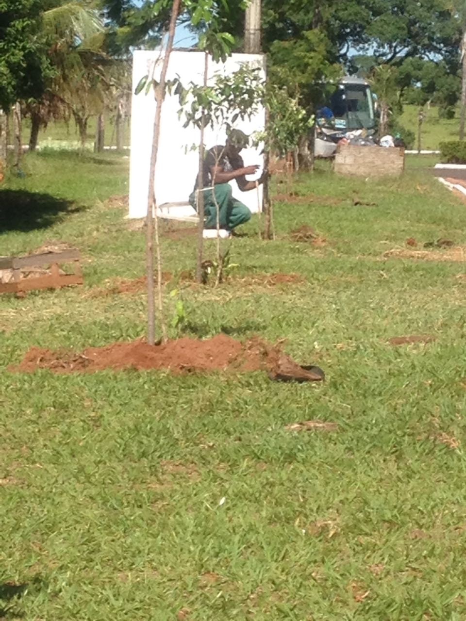 Distrito de Arapuá recebe plantio de árvores pelo Projeto “Áreas Mais Verdes”