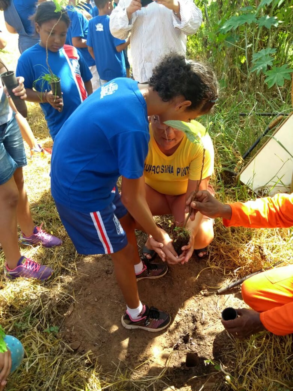 Alunos da “Eufrosina Pinto” participam de Projeto de Arborização