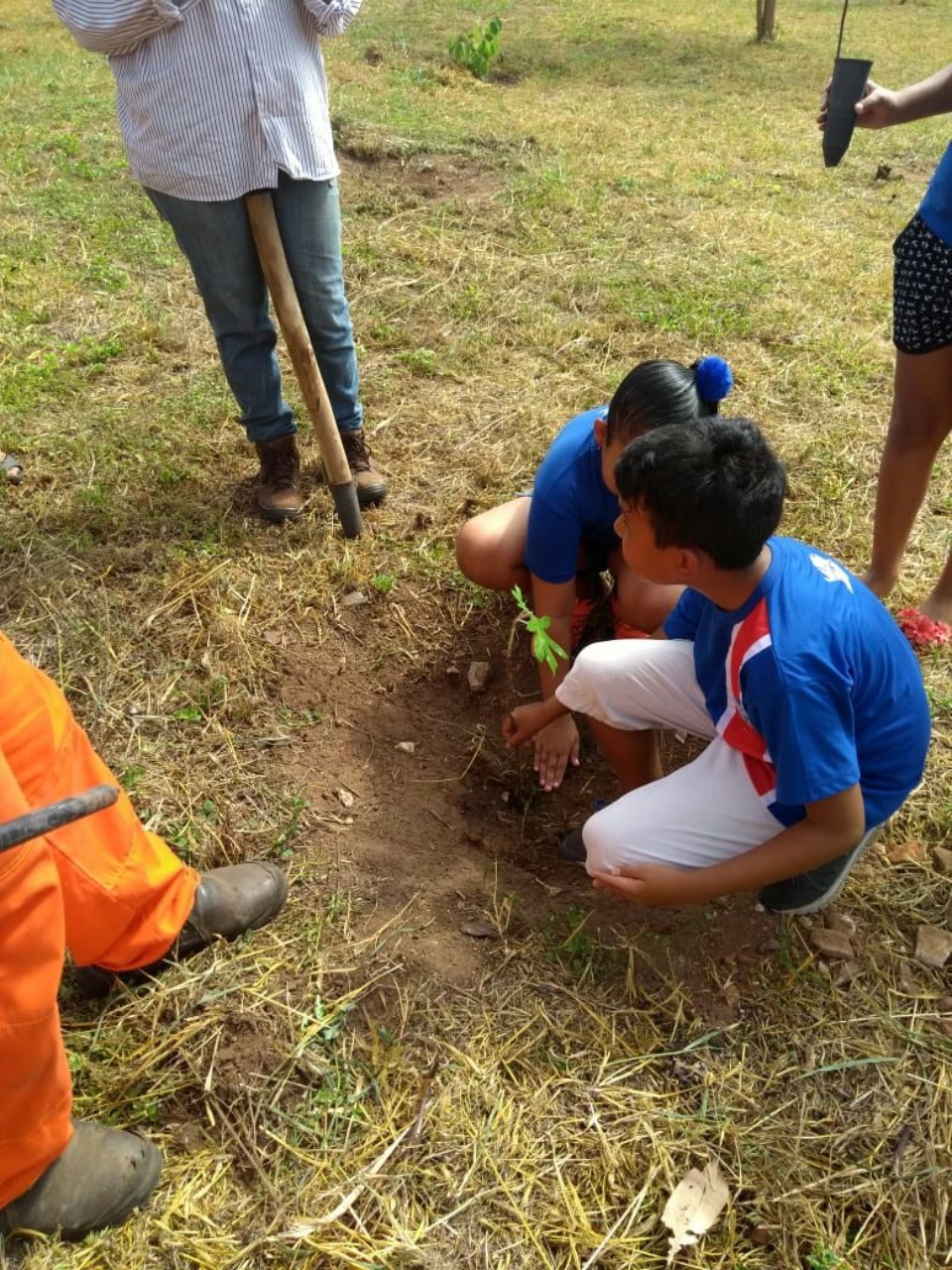 Alunos da “Eufrosina Pinto” participam de Projeto de Arborização