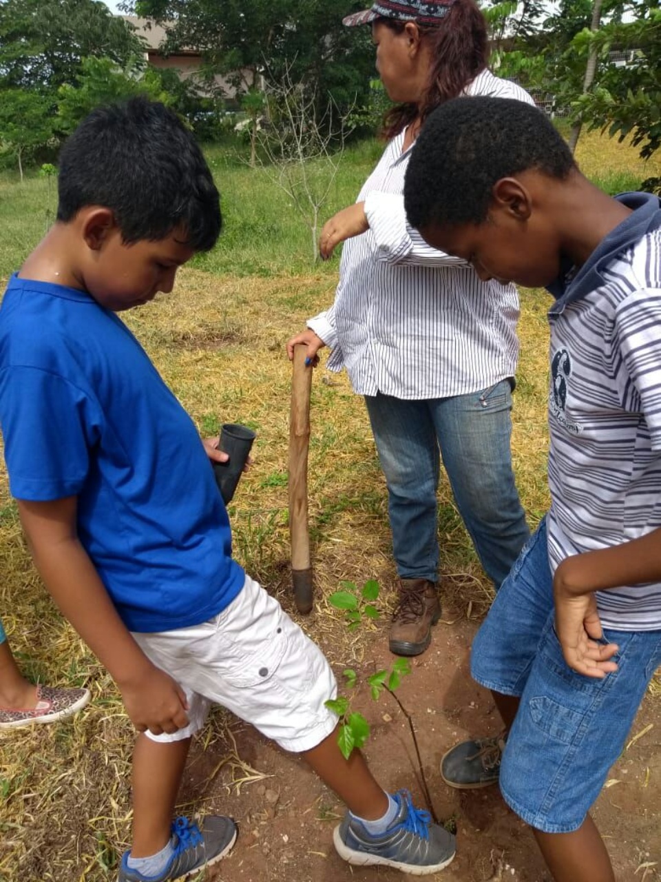 Alunos da “Eufrosina Pinto” participam de Projeto de Arborização