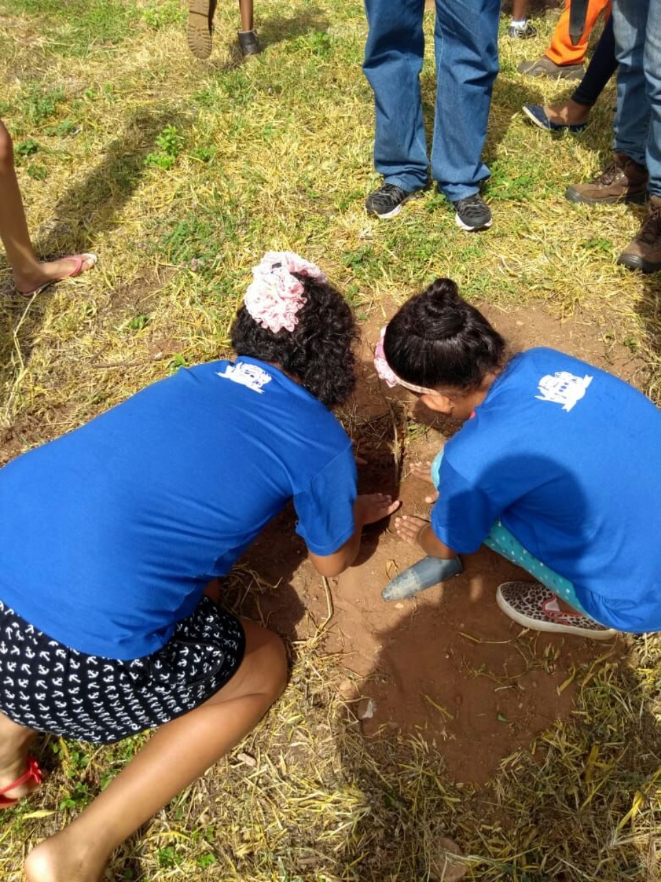 Alunos da “Eufrosina Pinto” participam de Projeto de Arborização