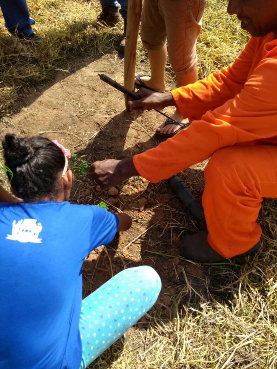 Alunos da “Eufrosina Pinto” participam de Projeto de Arborização