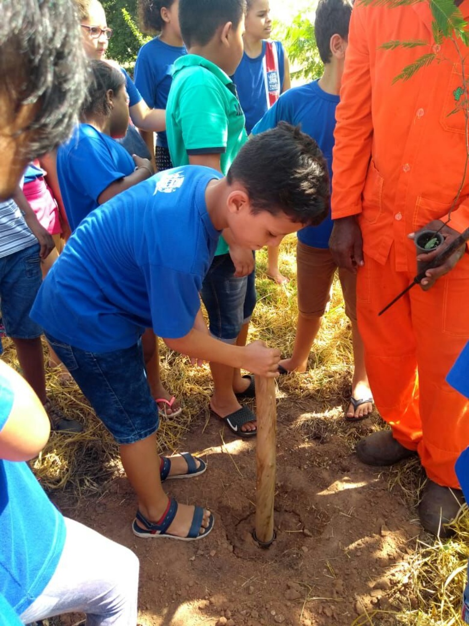 Alunos da “Eufrosina Pinto” participam de Projeto de Arborização