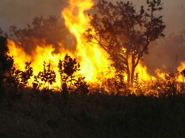 Baixa umidade do ar, altas temperaturas, ventos fortes são considerados causas naturais de incêndios ocorrentes em MS (Foto: Google Imagens)