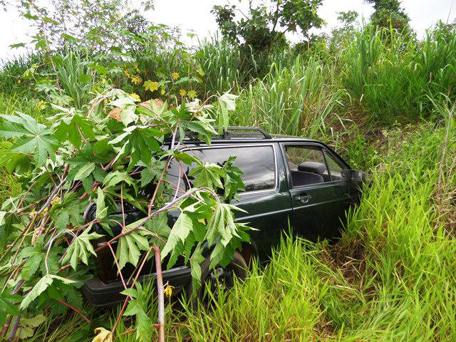 O veículo foi encontrado com galhos de mamona que serviam para esconder o carro que foi furtado. (Foto: Celso Daniel)