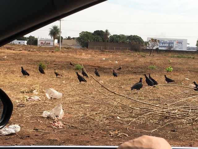 Polícia e Superintendência pedem que a população denuncie (Foto/Assessoria)
