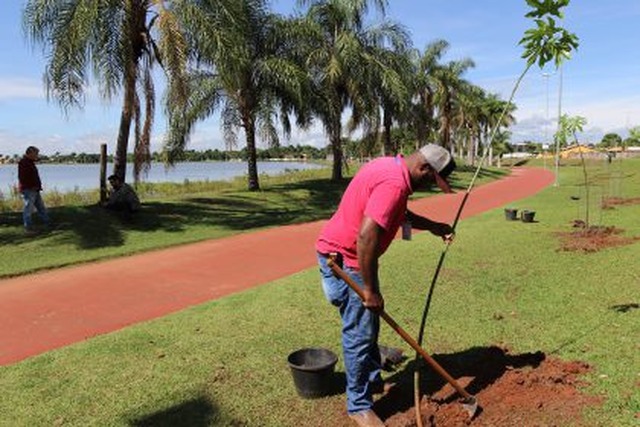 SEMEA realiza plantio de mais árvores em volta da pista de caminhada da Lagoa Maior