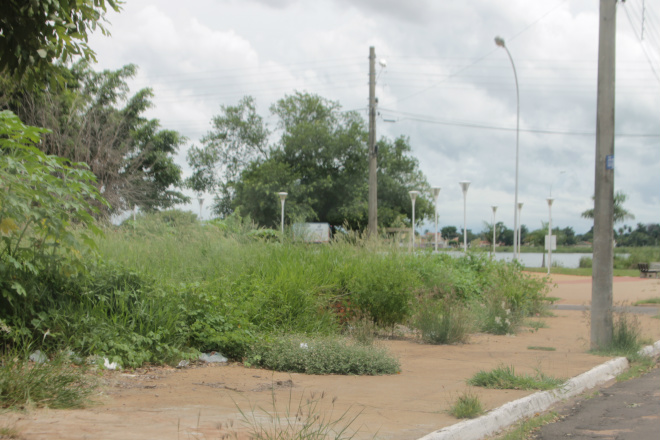 Imóveis tomados pelo mato são encontrados em vários pontos de Três Lagoas e a sujeira contribui para a proliferação de mosquitos. O terreno da foto em questão está localizado nas proximidades da Lagoa Maior, o principal cartão postal da cidade (Foto: Ricardo Ojeda)  