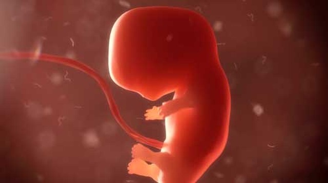 Supremo debate amanhã descriminalização do aborto A primeira audiência pública está marcada para esta sexta-feira (3) e deve contar com mais de 20 especialistas (Foto/Divulgação)