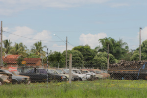 Casos de dengue preocupam moradores de Três Lagoas ... e por sua vez, criação de mosquitos que invadem as residencias da vizinhança (Fotos: Ricardo Ojeda)