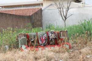 ... quando não, são jogados em terrenos baldios (Fotos: Ricardo Ojeda)