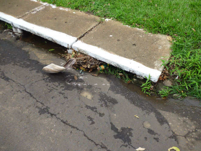 Chuva requer atenção especial quanto ao lixo jogado nas vias Lixo em bueiros dificultam escoamento da água
Foto: Maycon Almeida