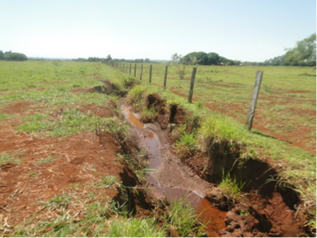 PMA autua dois assentados em R$ 10 mil por degradar nascentes e matas ciliares de córrego. (Foto: Assessoria)