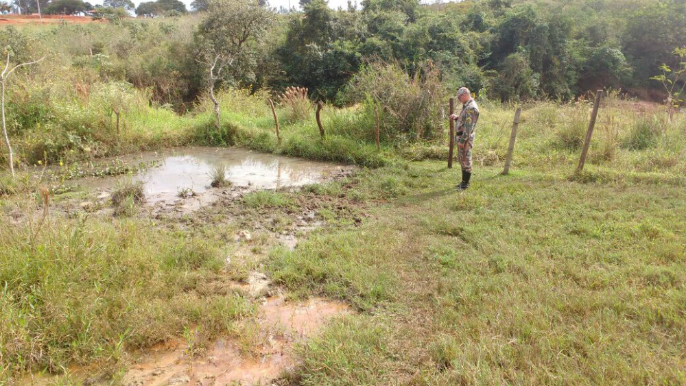 PMA autua arrendatário em R$ 3 mil por criar gado destruindo Matas Ciliares de córrego. (Foto: Assessoria)