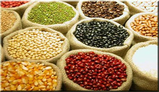 Valor da produção agrícola deverá aumentar 26,3% em 2013 A elevação deve-se principalmente à soja (Foto: Arquivo)